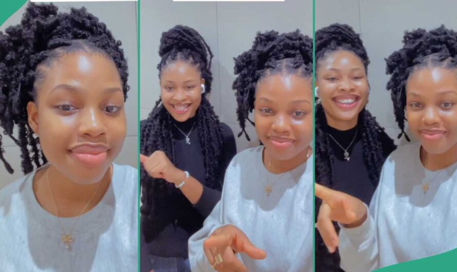 Lady With Jaw-dropping Beauty Shows Off Her Twin Sister Who Also Looks Exceptionally Beautiful