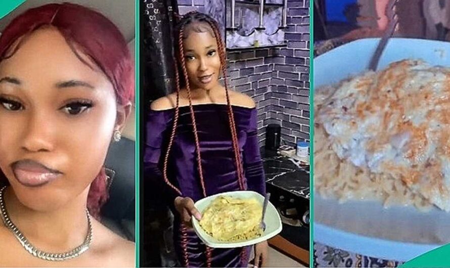 Lady Who Came to Stay With Brother Packs Her Bags and Flees after He Served Her Noodles Severally