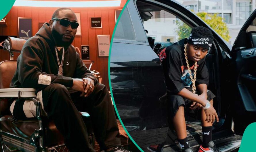 Davido Officially Announces Live Event With Peller, Teases More Details About New Song ‘Awuke’