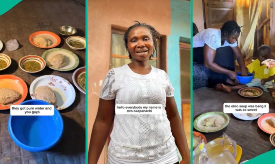 Family of 7 Who Spends N2k Daily on Food Gets Over N1 million After Video Went Viral