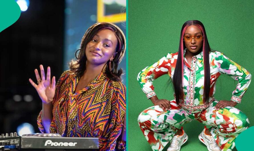 Cuppy Announces She Is UN’s Official Go-to DJ “Use Your Office To Speak on Nigeria’s Issues”