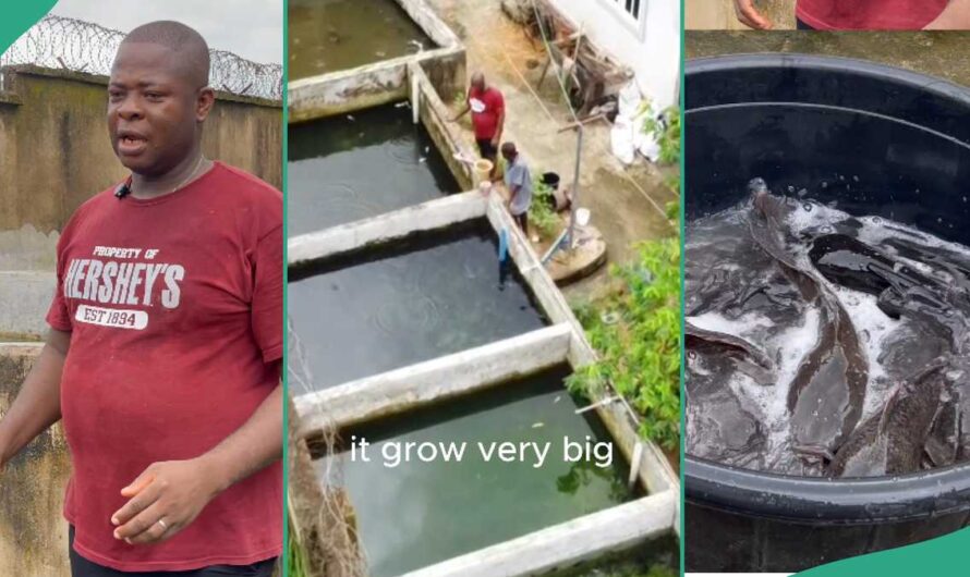 Fish Farmer Who Started With Only 100 Fingerlings Makes it Big, Expands His Business