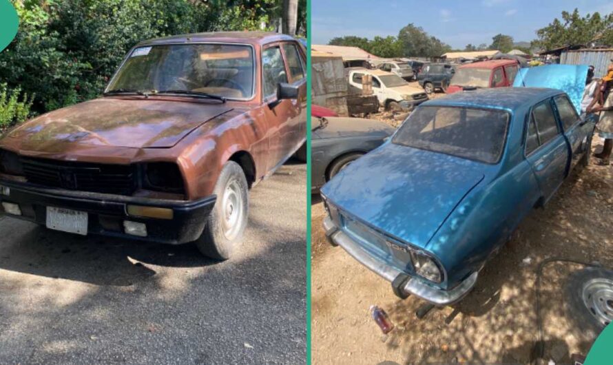 Man Picks Old-looking Peugeot 504 Car, Refurbishes it and Turns it Into Beautiful Ride