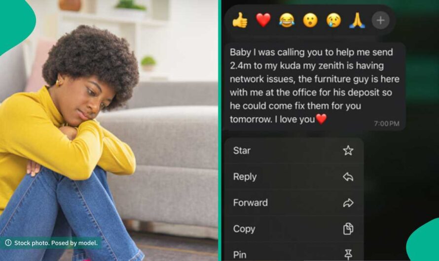 Nigerian Lady With Rich Boyfriend Shares Huge Financial Request He Begged Her for, Generates Buzz