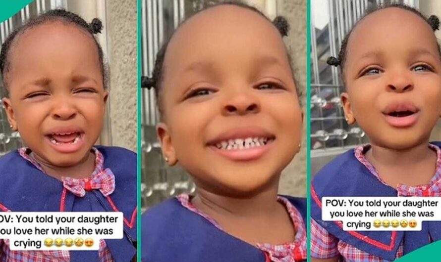 Funny Toddler Quickly Wipes Tears after Hearing Sweet Words from Mum’s Mouth, Video Trends