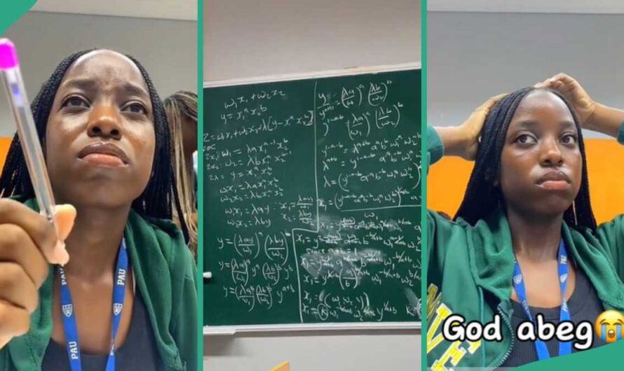 University Student Studying Economics Cries After Seeing Mathematical Calculations During Lectures