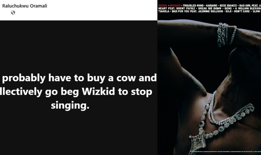 “We probably have to buy a cow and collectively go beg Wizkid to stop singing” – Man rates Wizkid’s Morayo album