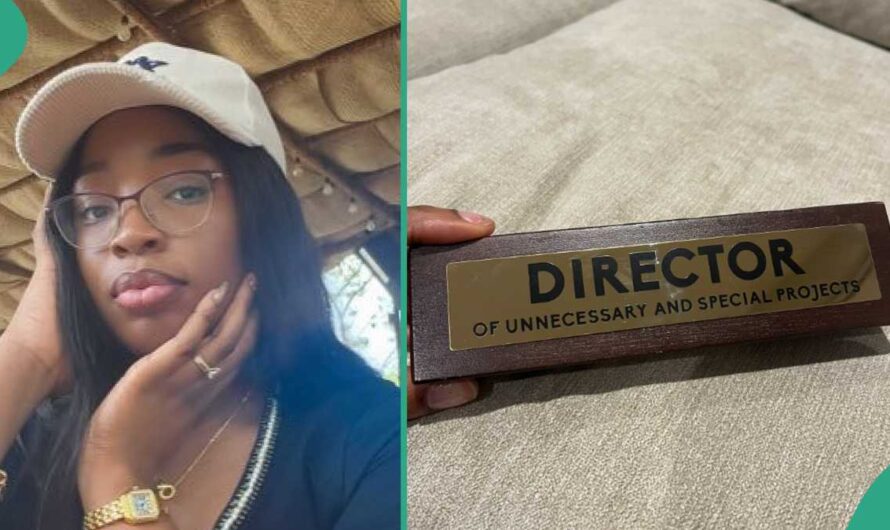 Lady Gets Interesting ‘Job’ Description From Her Hubby Who Made Her Director of Unnecessary Projects