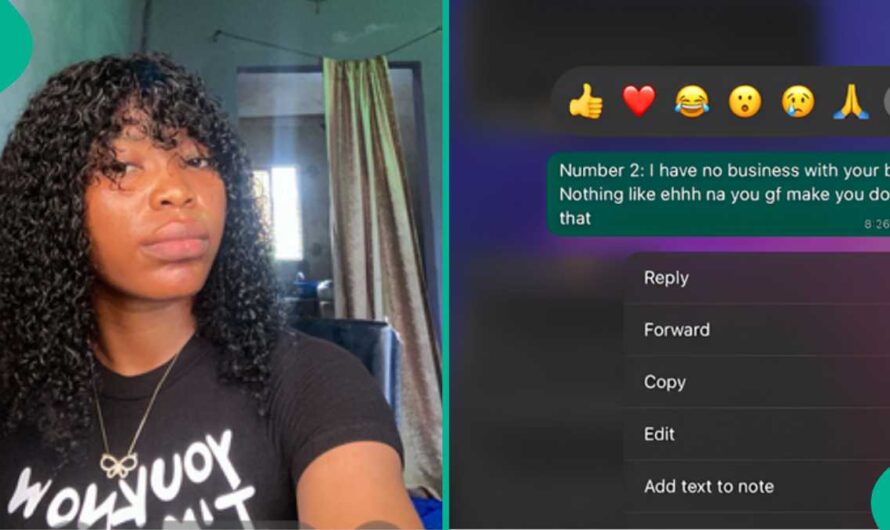 Lady Shows 3 Rules She Gave Man Who Approached Her to Be His Side Chick, Their WhatsApp Chats Trend