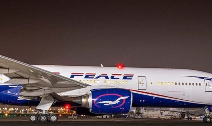 JUST IN: Lagos-bound Air Peace flight makes emergency stop on runaway over bird strike