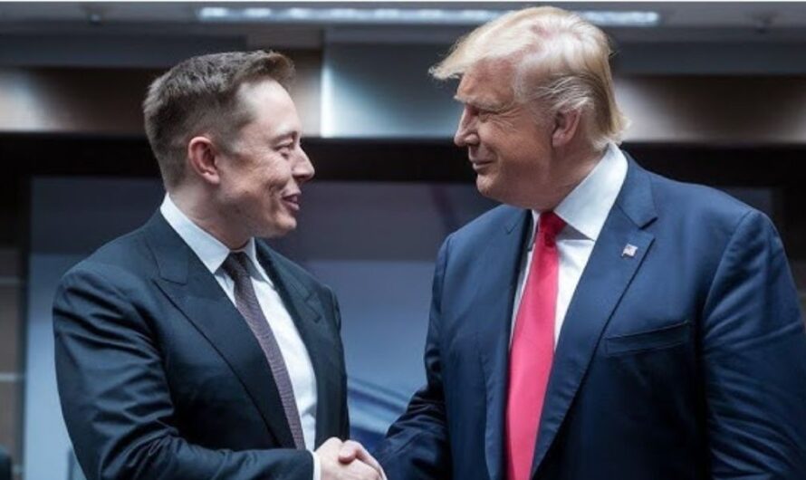 Trump appoints Elon Musk to lead US government efficiency department