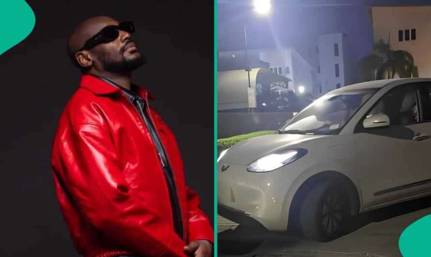 2Baba Gets Electric Car Gift from Businessman, Fans Express Amazement at His Driving Skills